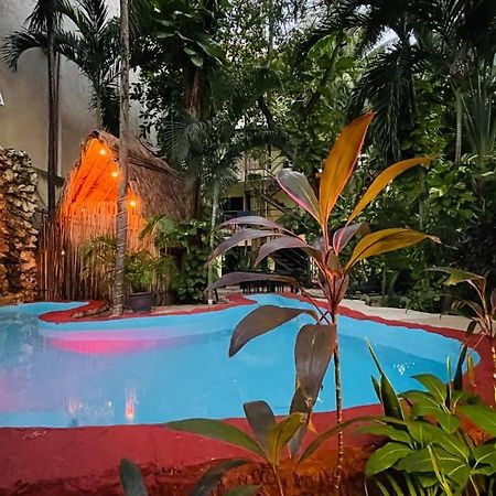 Hotel B&B - 5Th Avenue Πλάγια Ντελ Κάρμεν Εξωτερικό φωτογραφία The swimming pool at the hotel