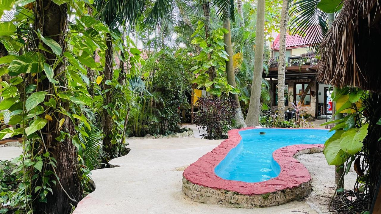 Hotel B&B - 5Th Avenue Πλάγια Ντελ Κάρμεν Εξωτερικό φωτογραφία The pool at the Jungle Island Resort