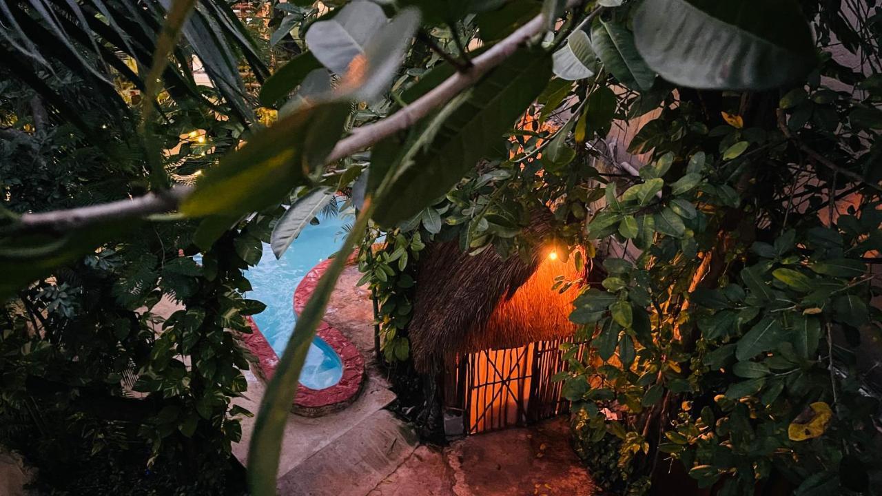 Hotel B&B - 5Th Avenue Πλάγια Ντελ Κάρμεν Εξωτερικό φωτογραφία Entrance to the Jungle