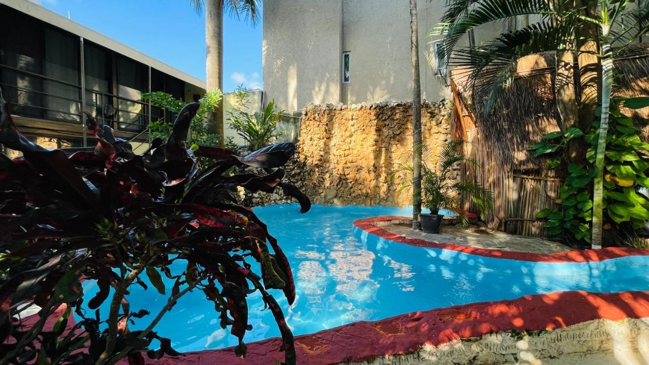 Hotel B&B - 5Th Avenue Πλάγια Ντελ Κάρμεν Εξωτερικό φωτογραφία The pool at the hotel