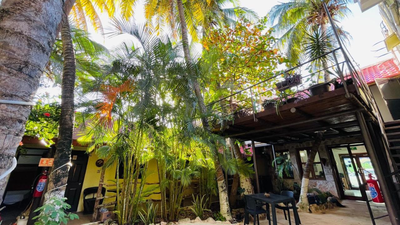 Hotel B&B - 5Th Avenue Πλάγια Ντελ Κάρμεν Εξωτερικό φωτογραφία The interior of the restaurant