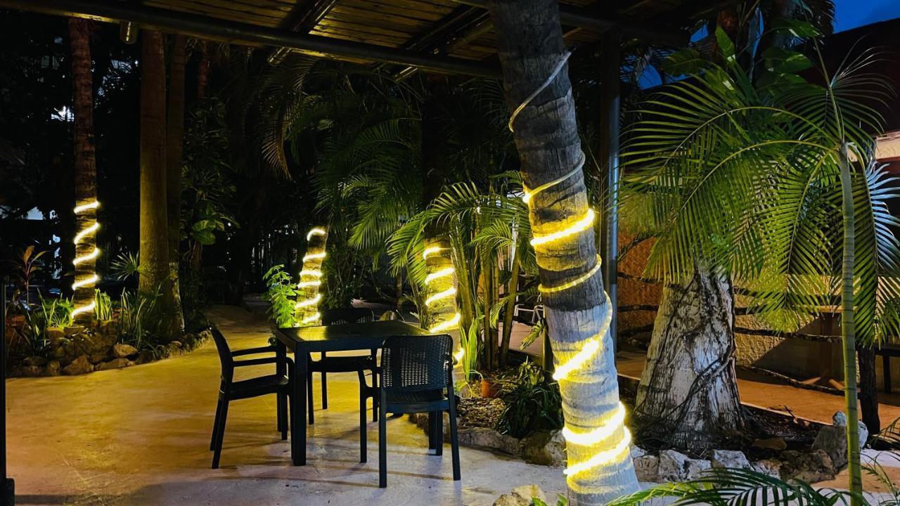 Hotel B&B - 5Th Avenue Πλάγια Ντελ Κάρμεν Εξωτερικό φωτογραφία Solar rope lights