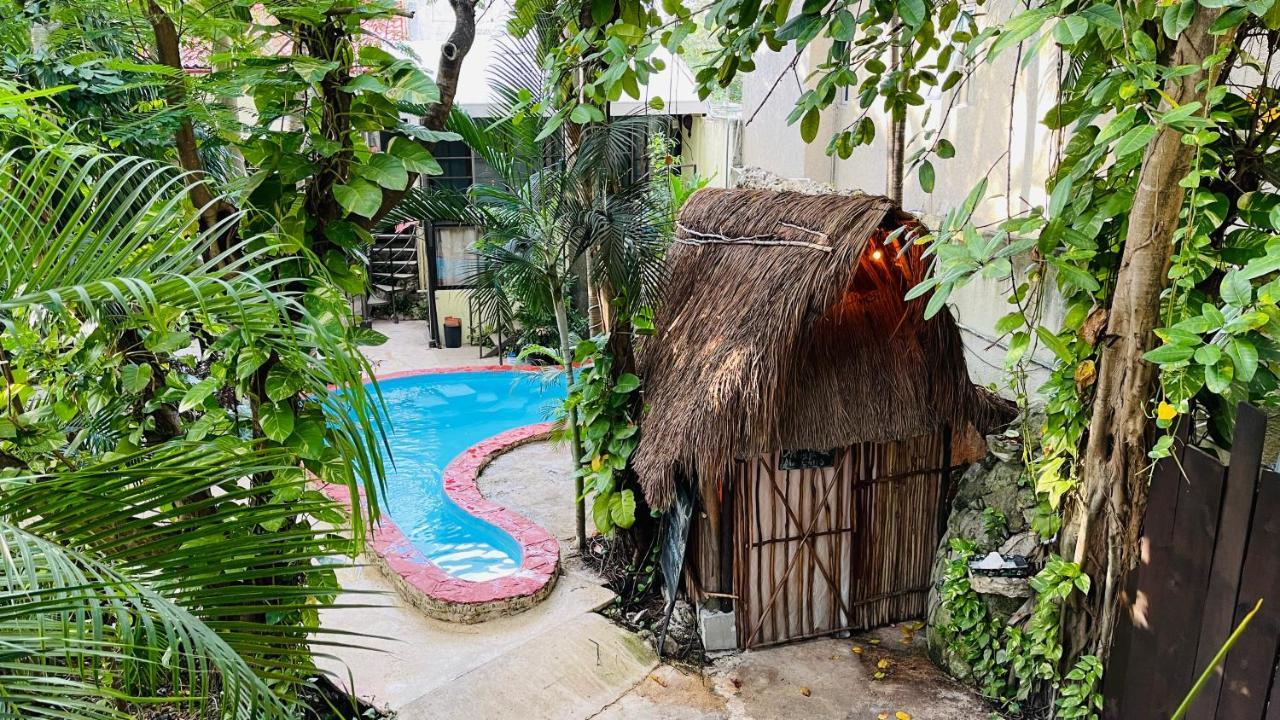 Hotel B&B - 5Th Avenue Πλάγια Ντελ Κάρμεν Εξωτερικό φωτογραφία A cenote in Tulum, Mexico