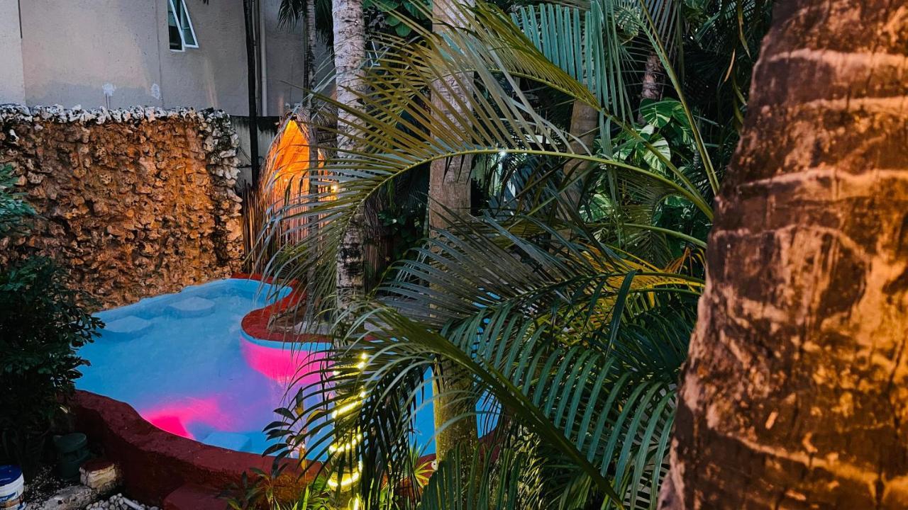 Hotel B&B - 5Th Avenue Πλάγια Ντελ Κάρμεν Εξωτερικό φωτογραφία The pool at the 2019 edition of the festival