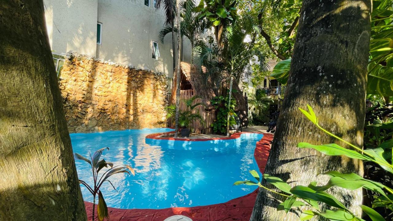 Hotel B&B - 5Th Avenue Πλάγια Ντελ Κάρμεν Εξωτερικό φωτογραφία The swimming pool at the hotel